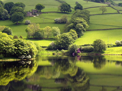 озеро, зелень, отражение