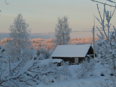 деревья, дом, зима, снег