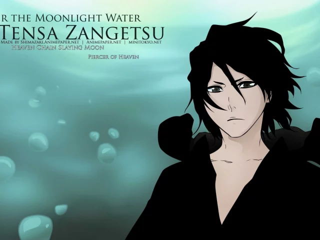 Zangetsu, Bleach