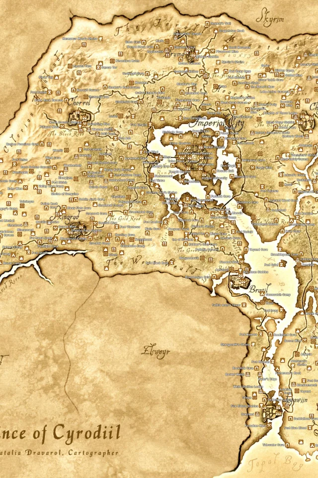 карта, коричневый