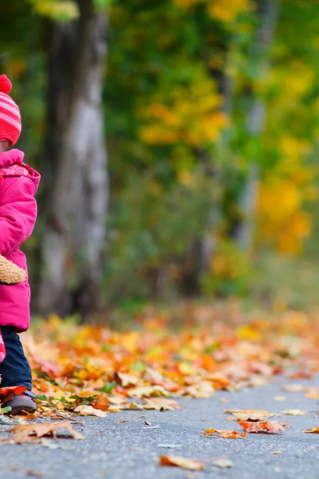 childhood, teddy bear, осень, одинокую, trees, Обои little girl, ребенок, дети, маленькая девочка, дорога, road, lonely, autumn, children, child, деревья, плюшевого мишку, детство