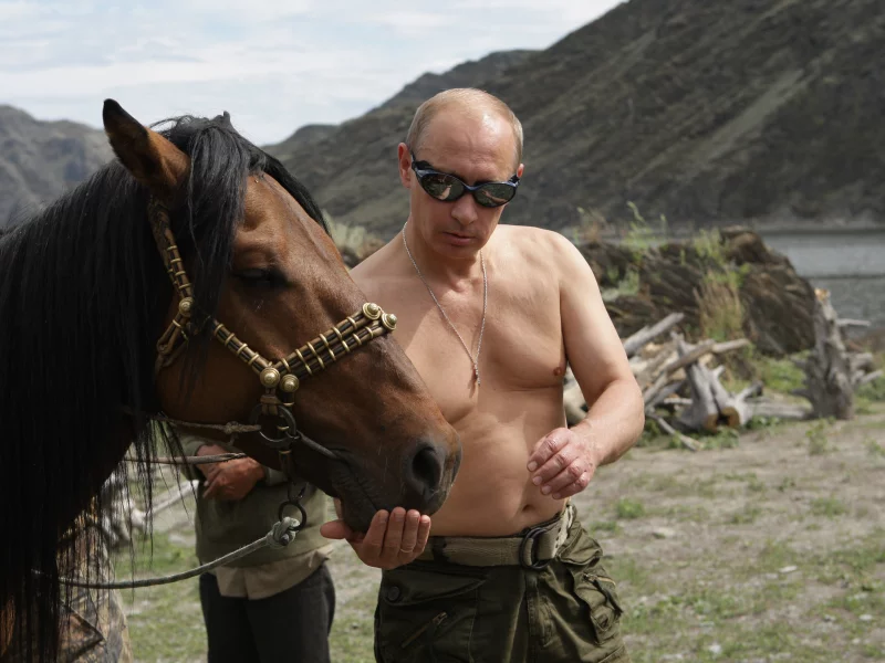 путин, горы, владимир путин, обои, премьер-министр россии, природа, лошадь, президент россии