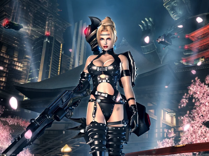 видео игры, Ninja Gaiden Sigma 2, pc games, игра, компьютерные игры, game