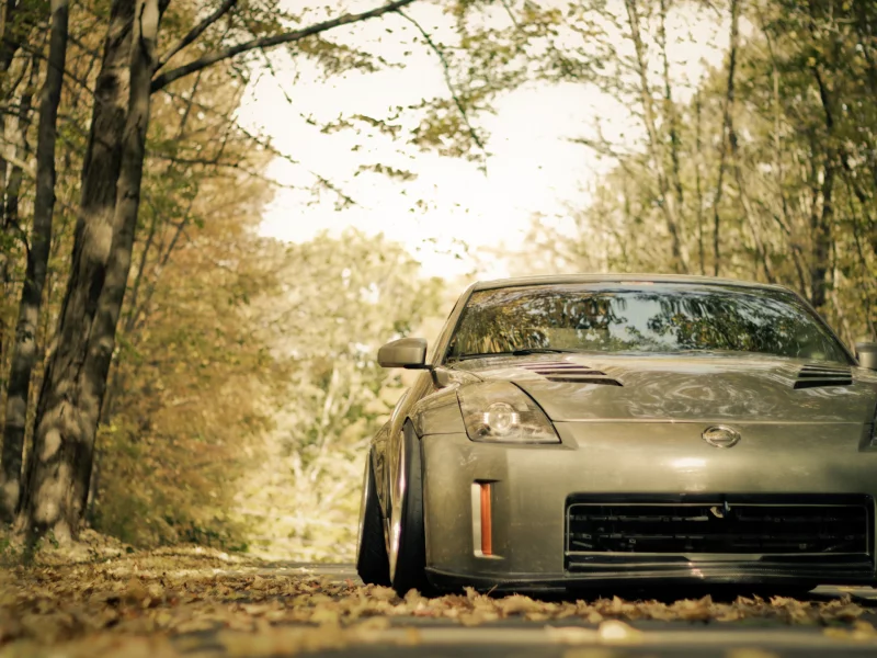автомобили, авто, nissan, дорога, машины, осень, 350z