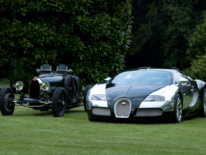 Bugatti Grand Prix, природа, авто, машины, Bugatti Veyron, черный, автомобили