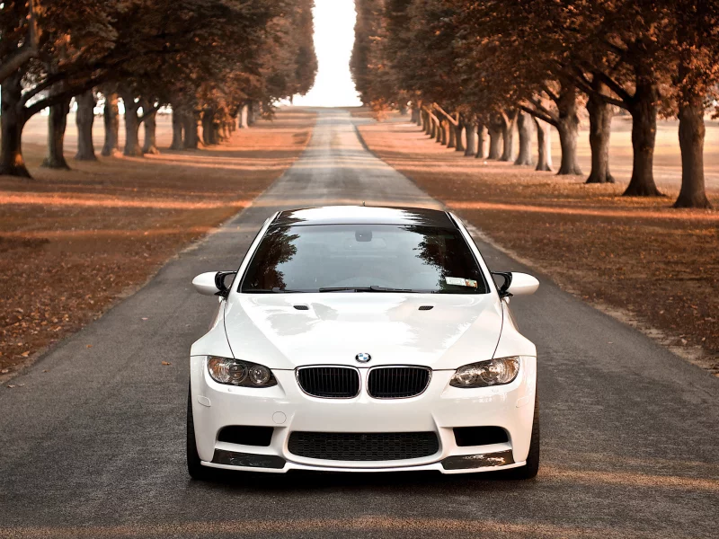 авто, автомобили, машины, дорога, bmw, осень, белая, деревья