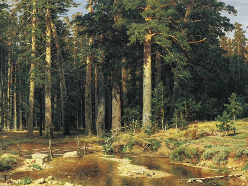 лес, корабельный, картина, шишкин