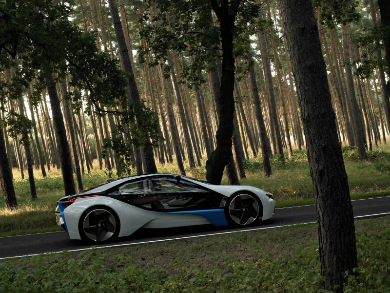 авто, дорога, bmw, лес, автомобили, машины