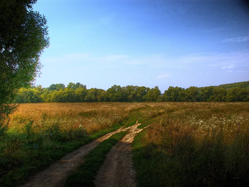 пейзаж, дорога