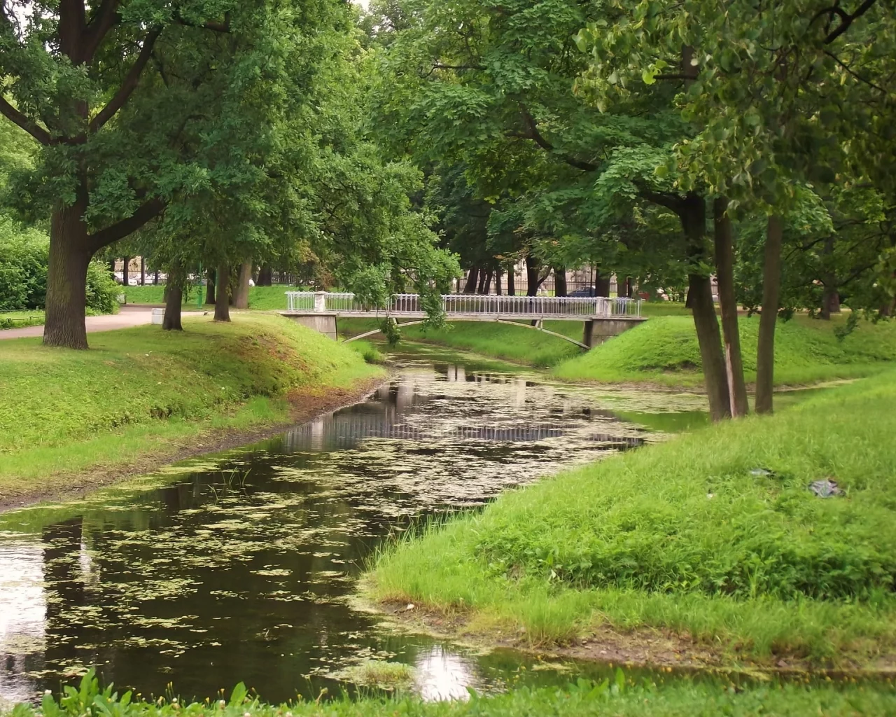 таврический сад, Петербург, пейзажи