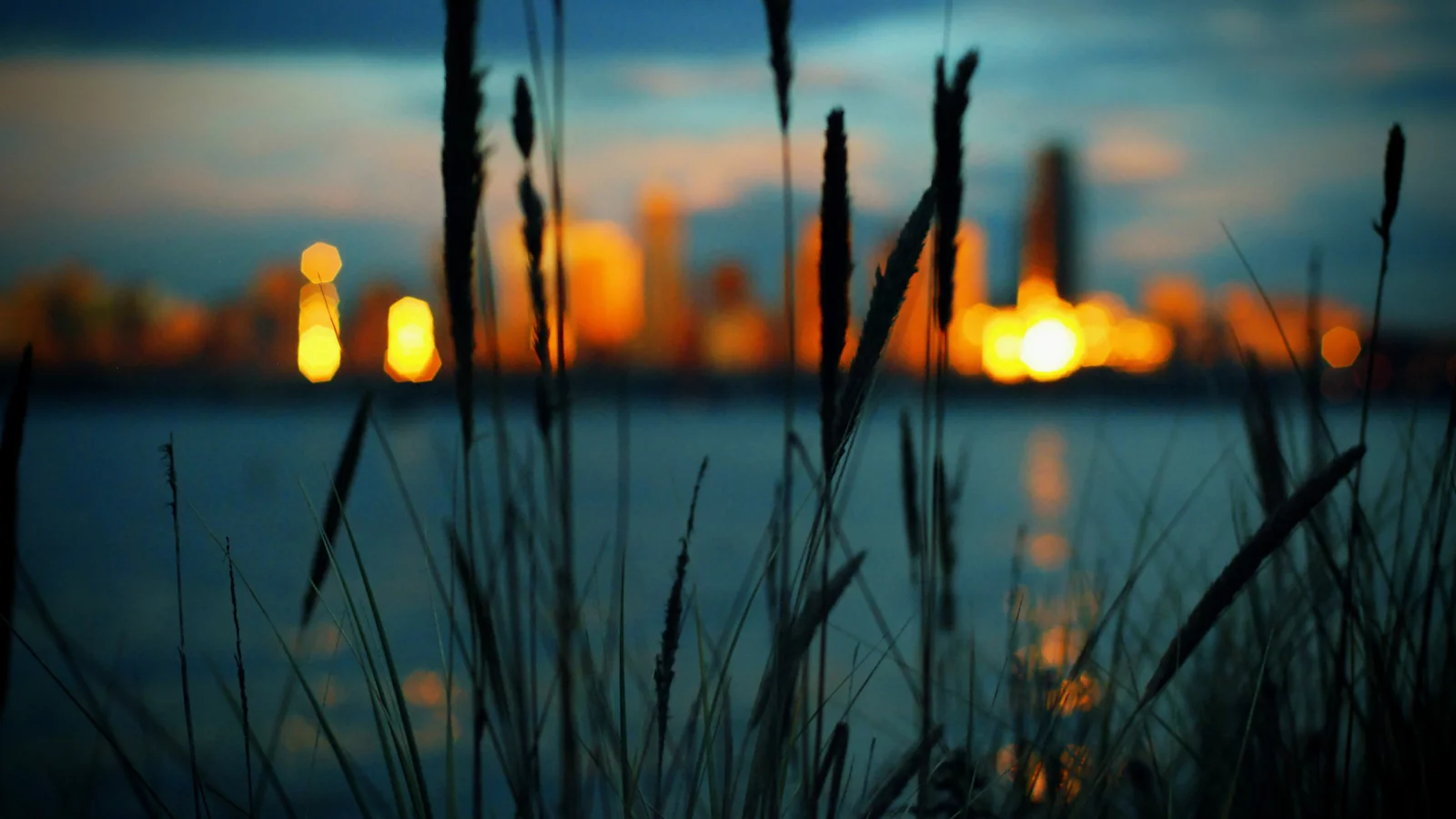 огни, трава, Bokeh