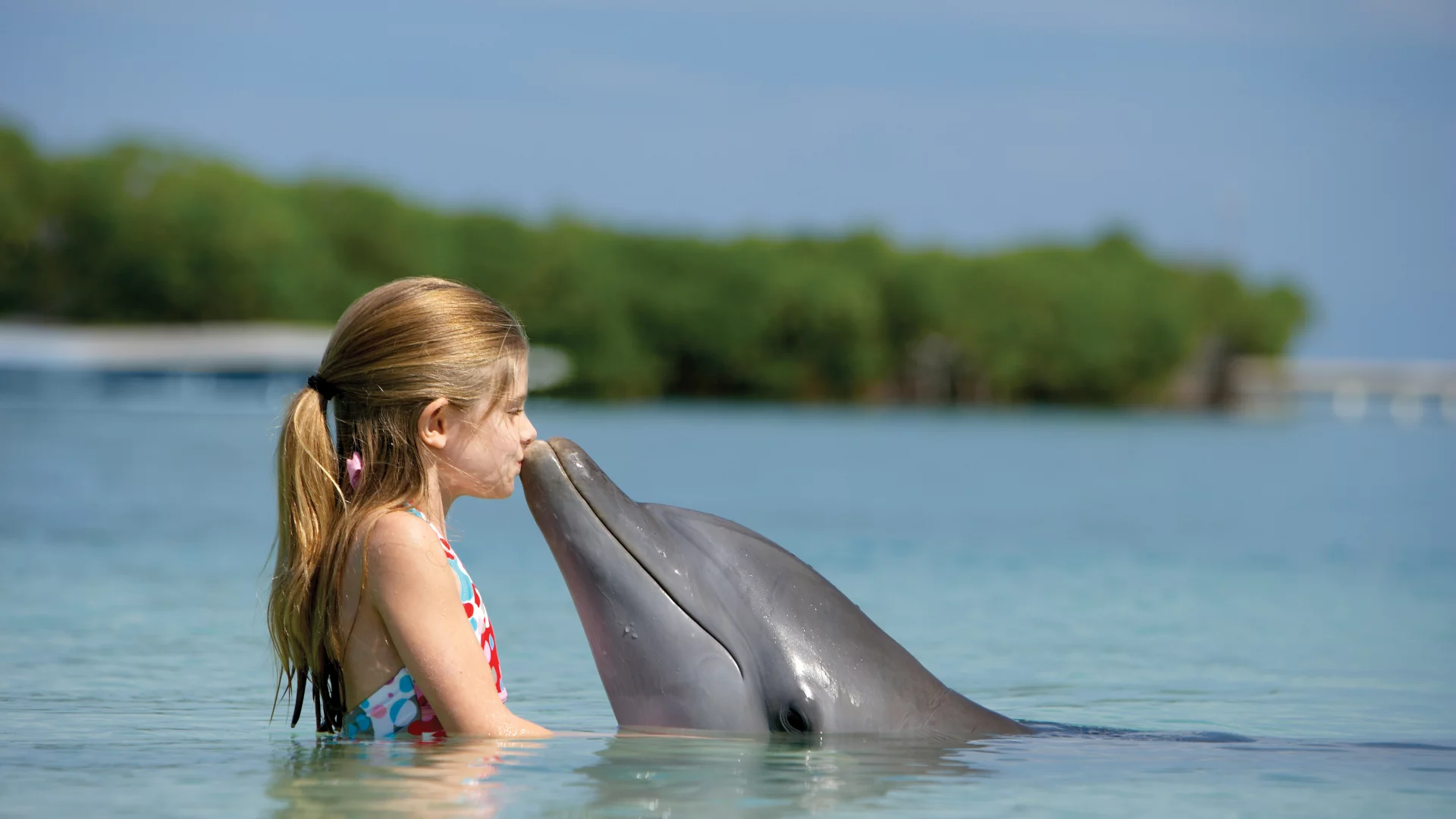 paradise island, bahamas, девчонка, дельфин, child, Океан, дружба