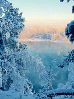 снег, сказка, лес, Зима