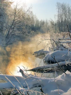 река, закат, туман, деревья, Зима