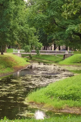 таврический сад, Петербург, пейзажи
