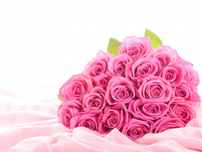 Цветы, розы, букет, розовые розы, розовые цветы