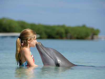 paradise island, bahamas, девчонка, дельфин, child, Океан, дружба