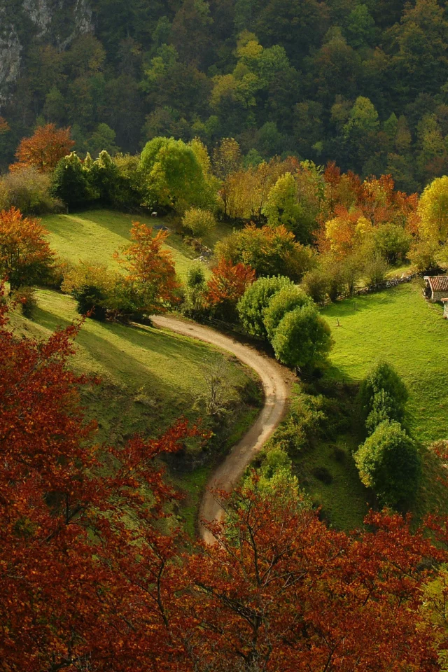 природа, Пейзаж, зелень