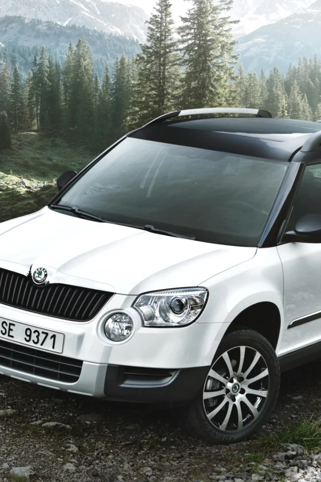 yeti, mont blanc, мон блан, кроссовер, йети, белый, шкода, Skoda