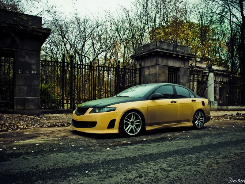 accord, Honda, жёлтая, девушка, матовая