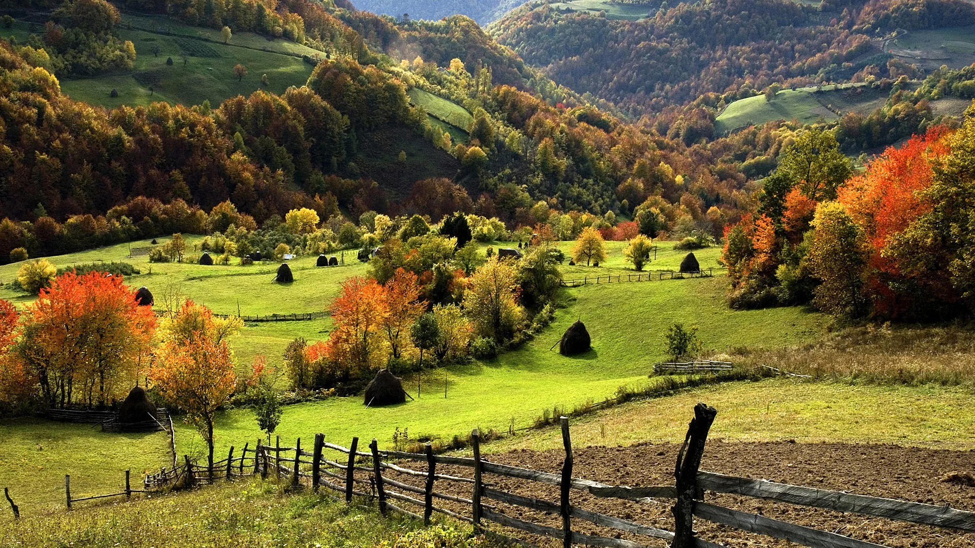 трава, природа, зелень, пейзаж, горы