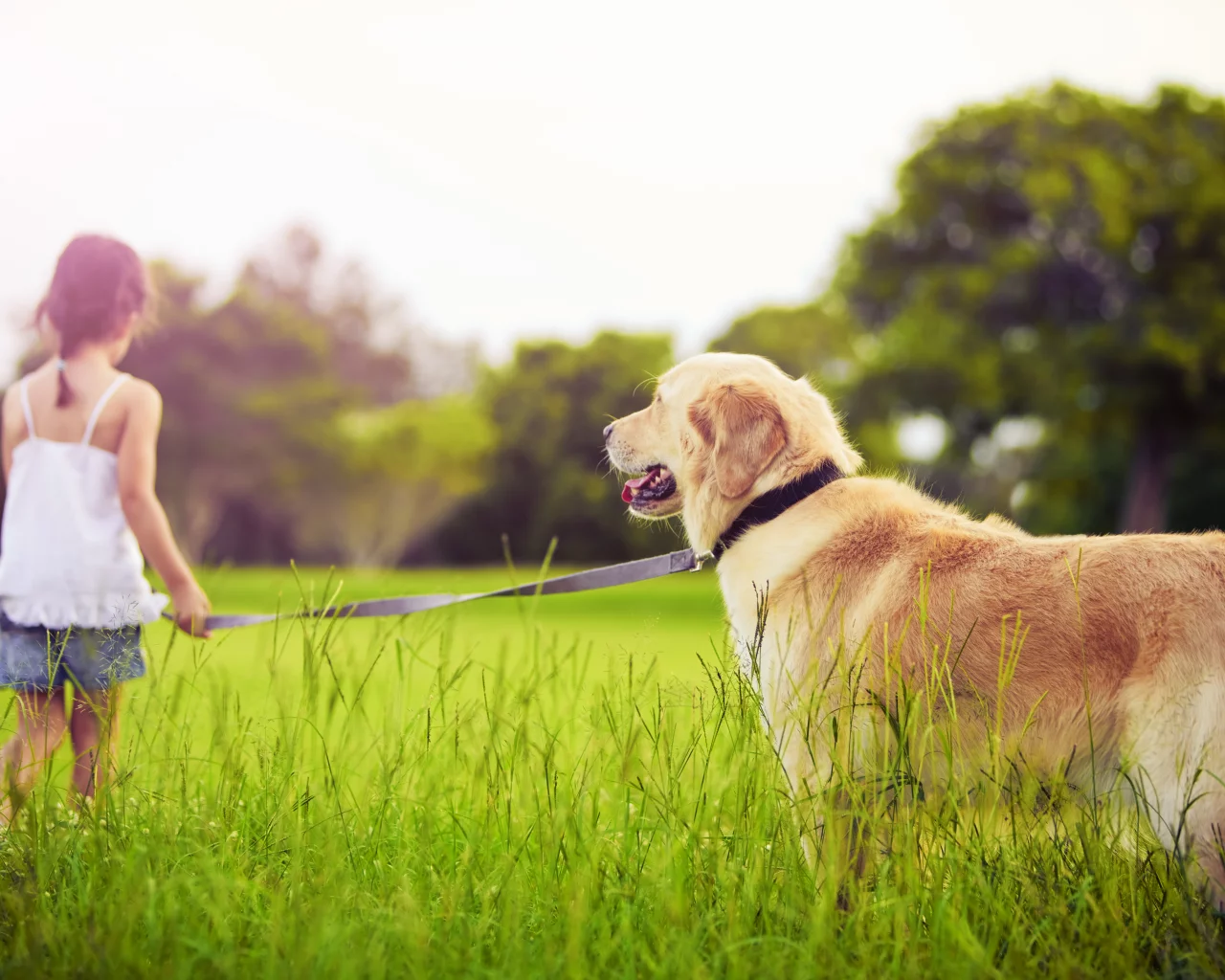 pet, grass, trees, sadness, child, dog, ghildre, sad little girl