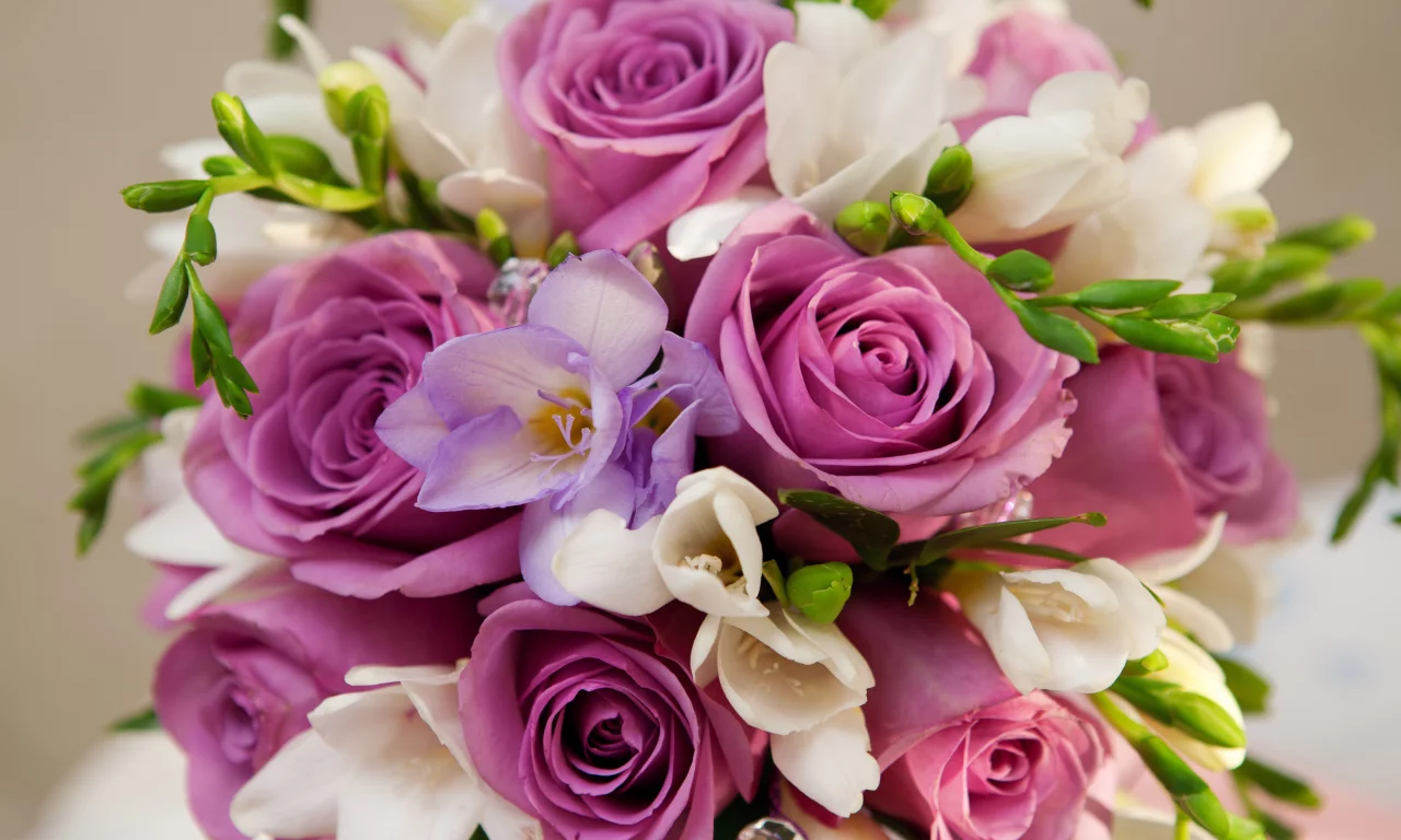 bouquet , violet flowers , иолетовые цветы, roses