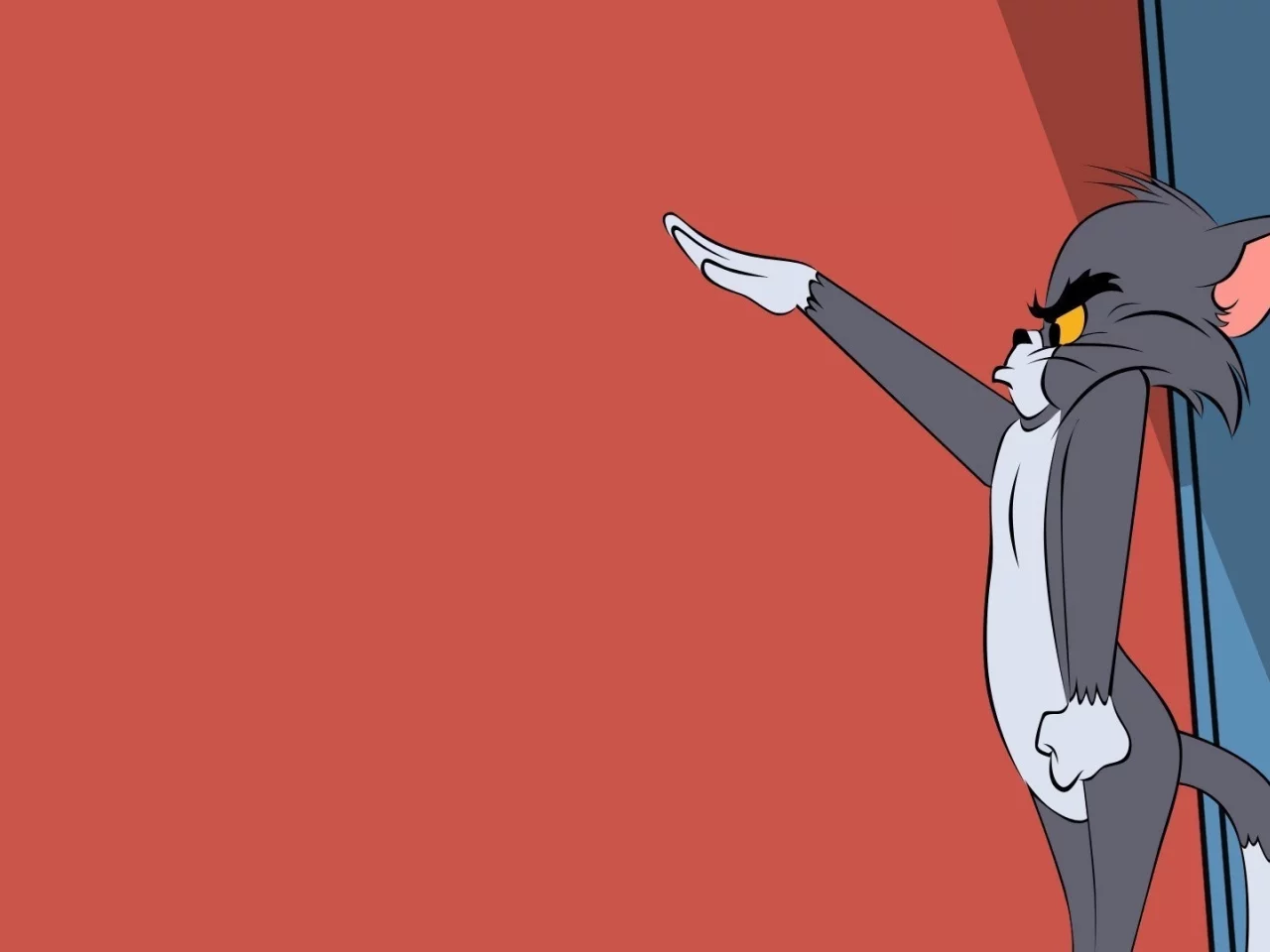 tom, том и джерри, том, кот, tom and jerry, cat