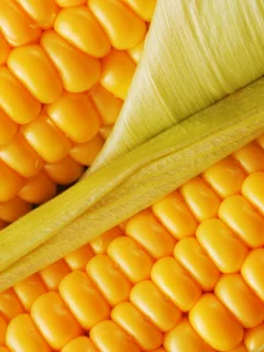 вкусно, полезно, еда, пища, кукуруза