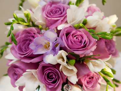 bouquet , violet flowers , иолетовые цветы, roses