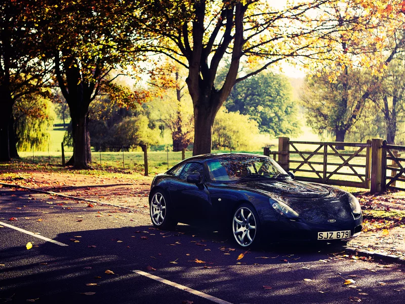 осень, t350, tvr, дорога