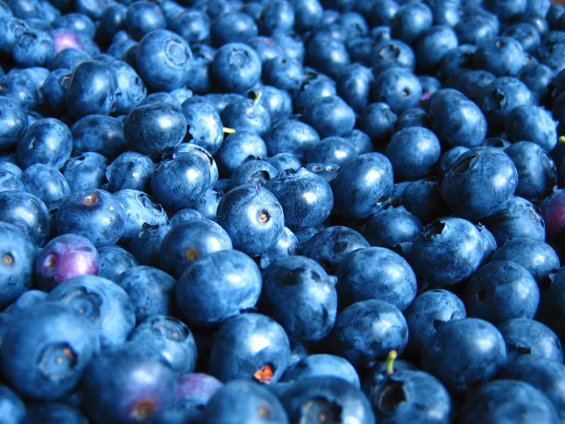 еда, черника, фрукты ягоды, food, blueberries