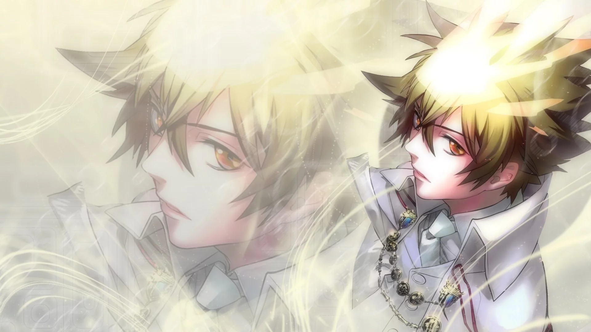 home tutor hitman reborn!, вангола, реборн, парень