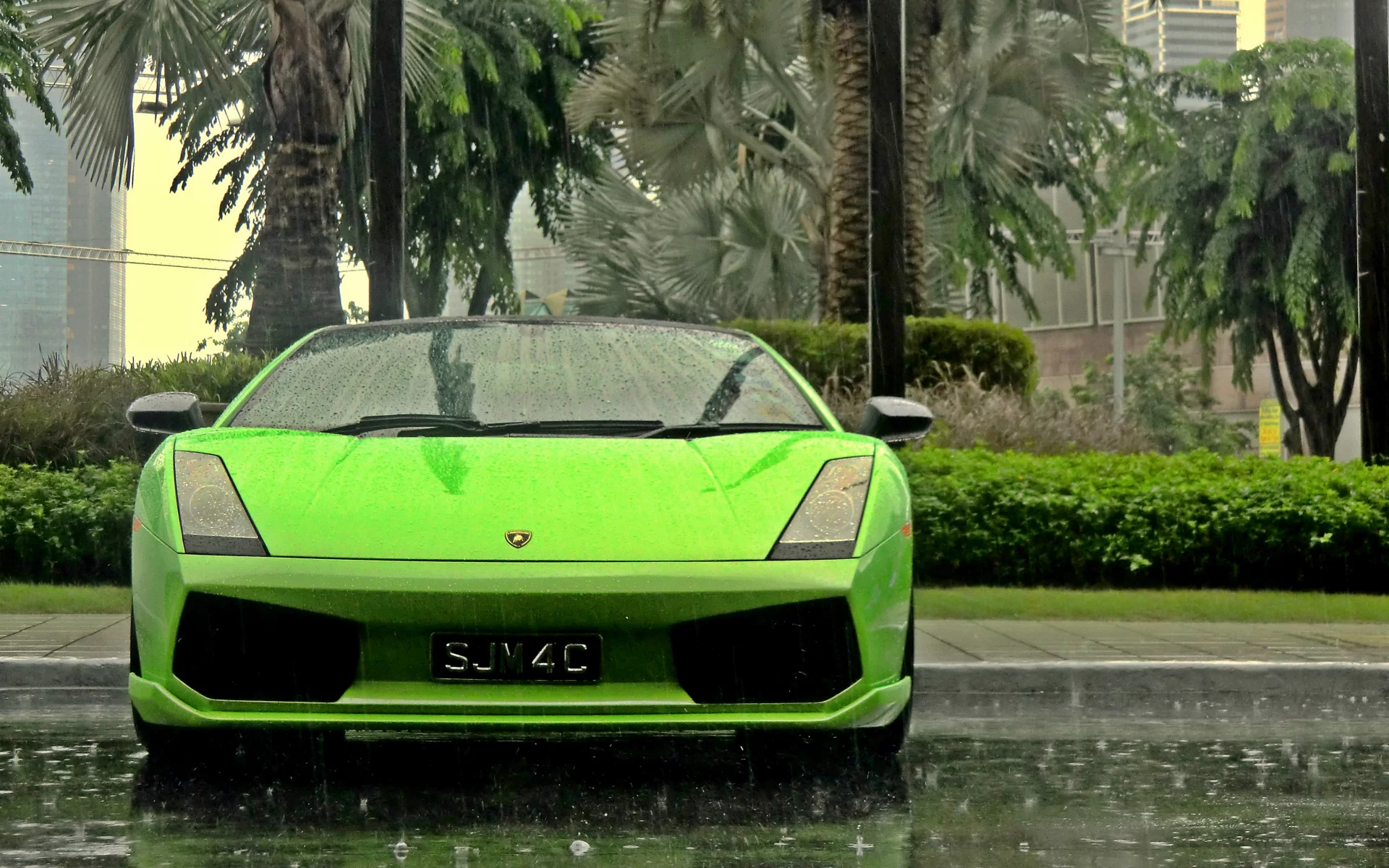 пальмы, суперкар, gallardo, дождь, lamborghini