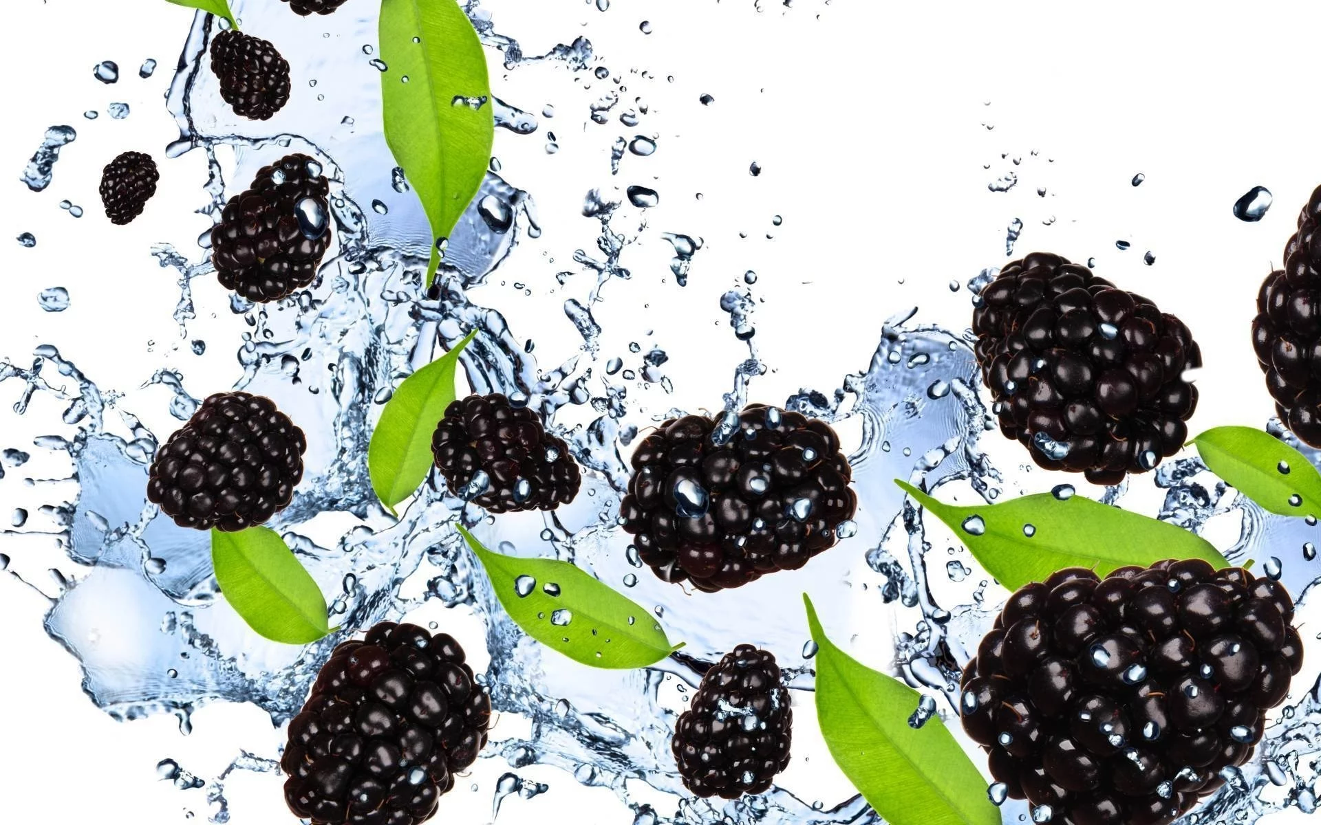 ежевика, ягоды, брызги, вода, blackberry