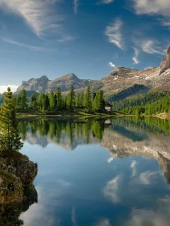 река, лес, зеленое, природа, горы