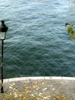 листья, река, фонарь, город