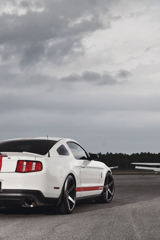 ford, форд, shelby, mustang, мустанг, gt500, muscle car
