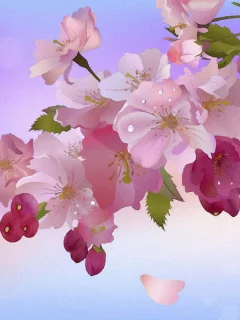 ветка, боке, яблоня в цвету, листья
