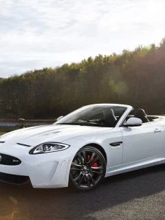 кабриолет, jaguar, дорога