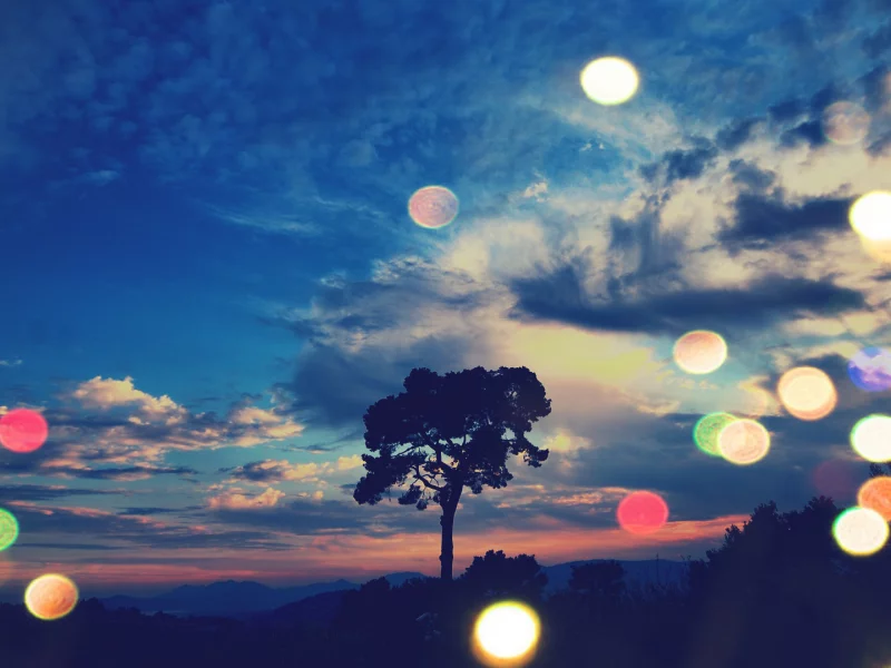 walls, reflections, night, wallpapers, tree, beautiful, nature