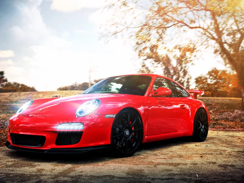 porsche, порш, красный, дерево, дорога