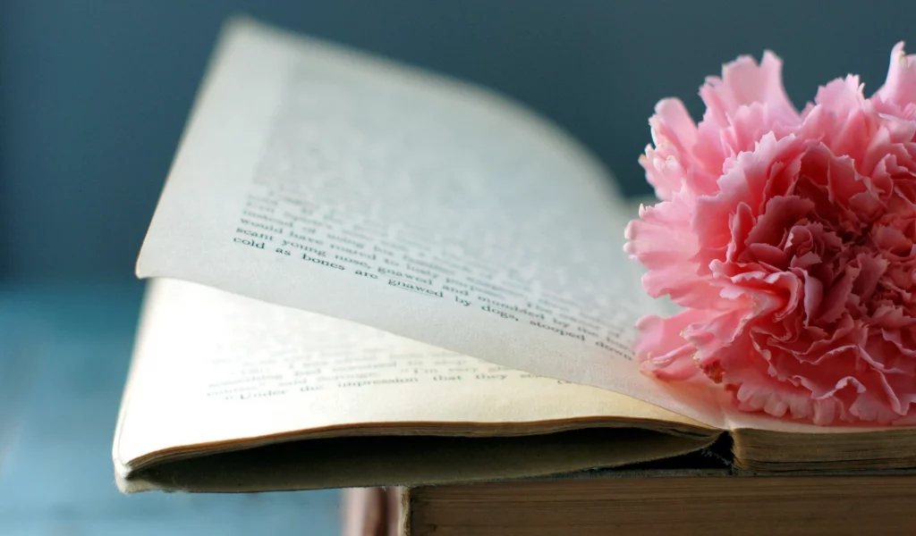 книга, макро, цветок, страницы