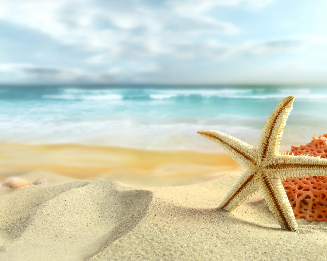 starfish, sand, лето, nature, sky, beach, clouds, shells, sea