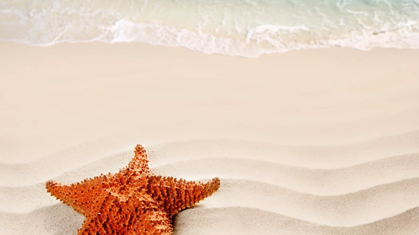 beach, море, nature, песок, starfish, nature, sea, sand