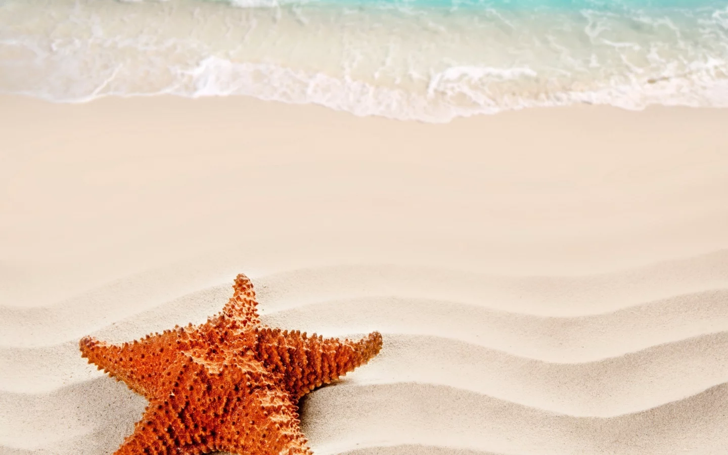 beach, море, nature, песок, starfish, nature, sea, sand