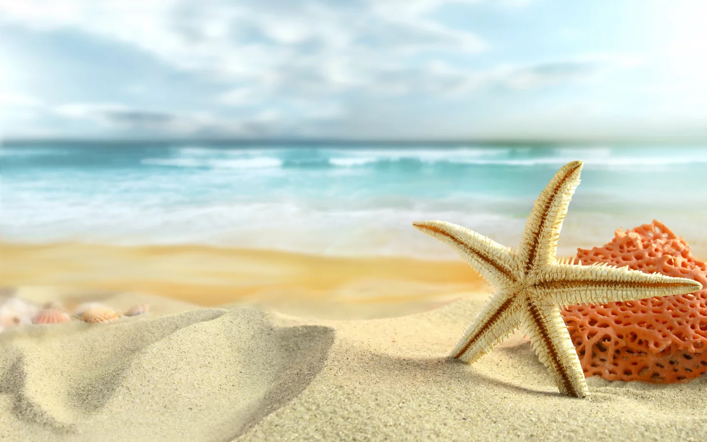 starfish, sand, лето, nature, sky, beach, clouds, shells, sea
