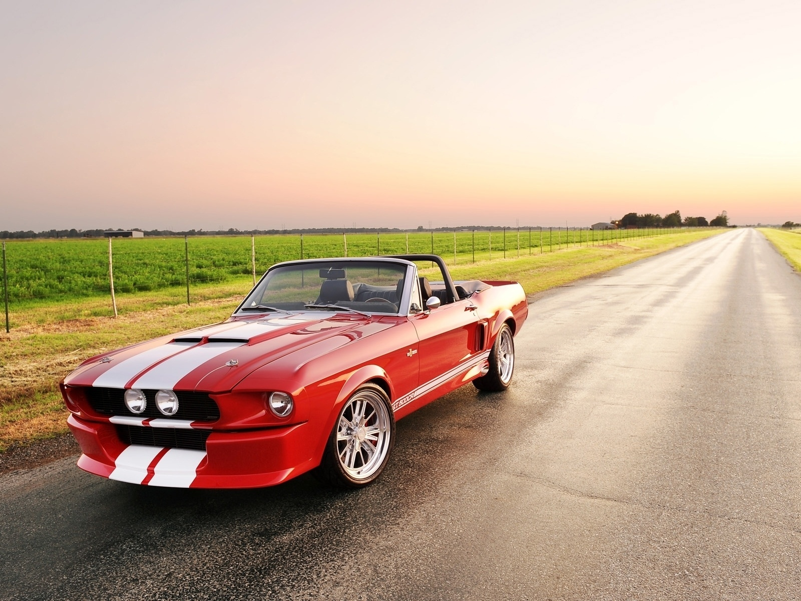 mustang, gt, shelby, 500cr, convertible, ford, classic recreations
