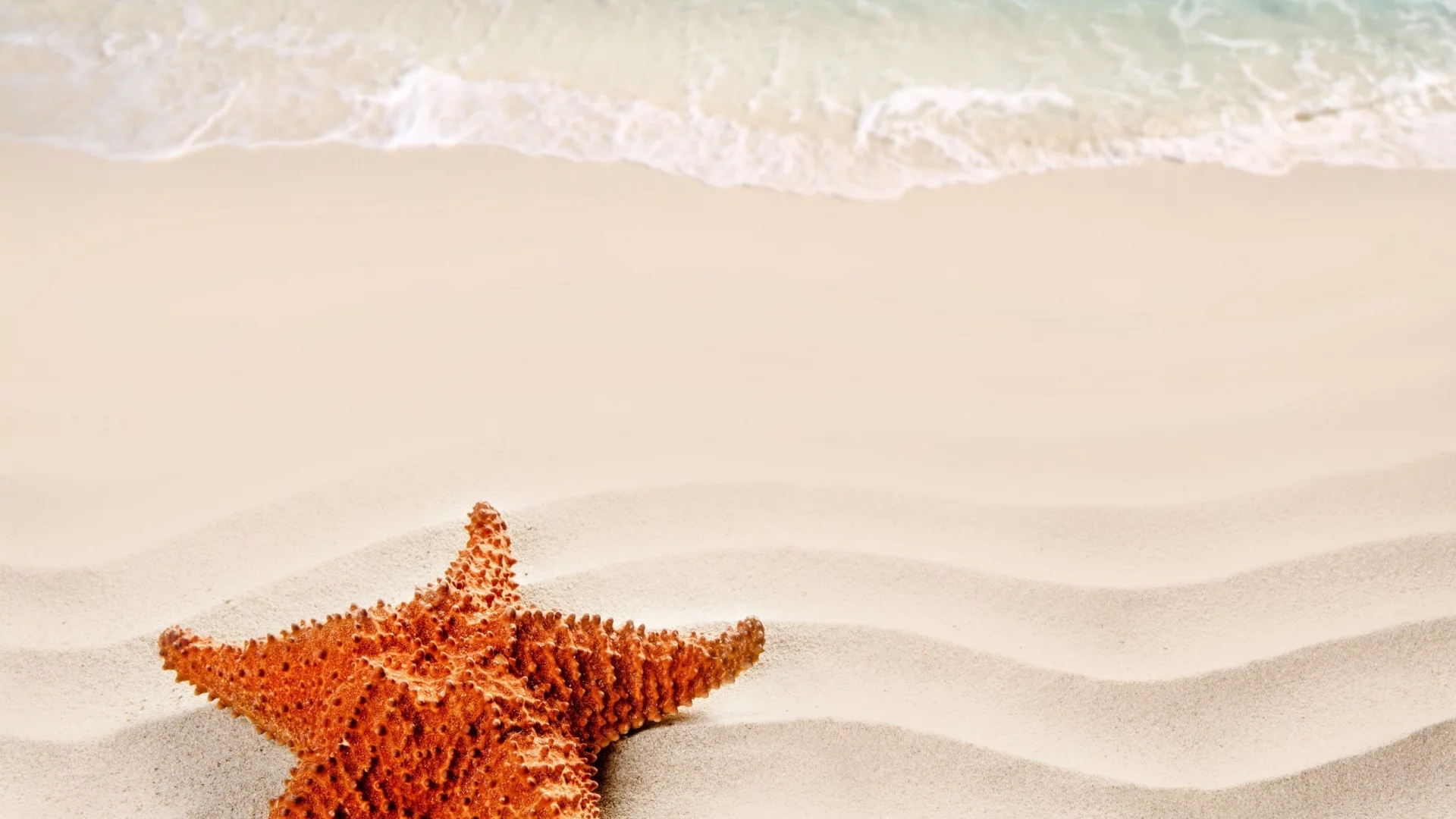beach, море, nature, песок, starfish, nature, sea, sand