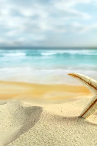 starfish, sand, лето, nature, sky, beach, clouds, shells, sea